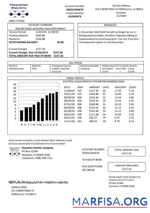 Realistic USA Hawaiian Electric utility bill template in Word and PDF format (.doc and .pdf)